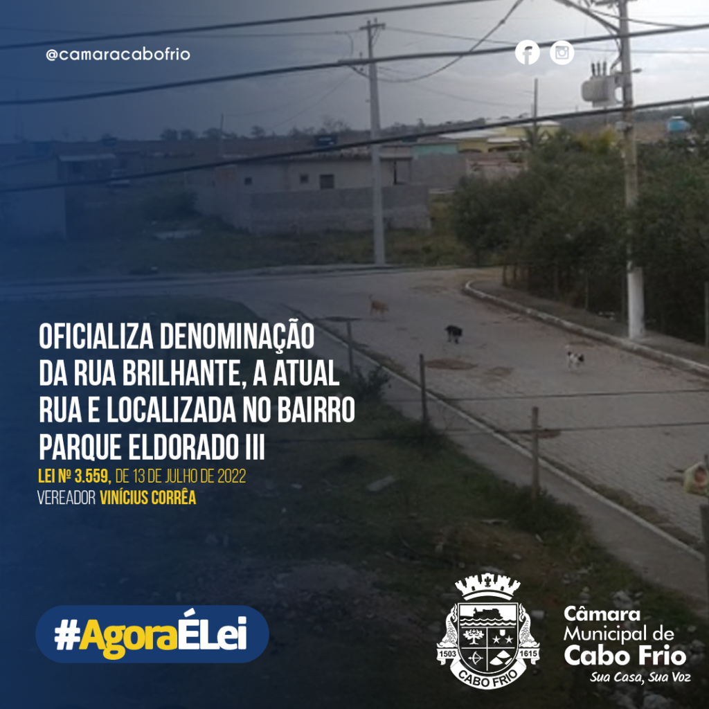 Agora Lei Confira As Leis Municipais Sancionadas